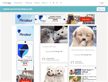 Tablet Screenshot of pindoggy.com